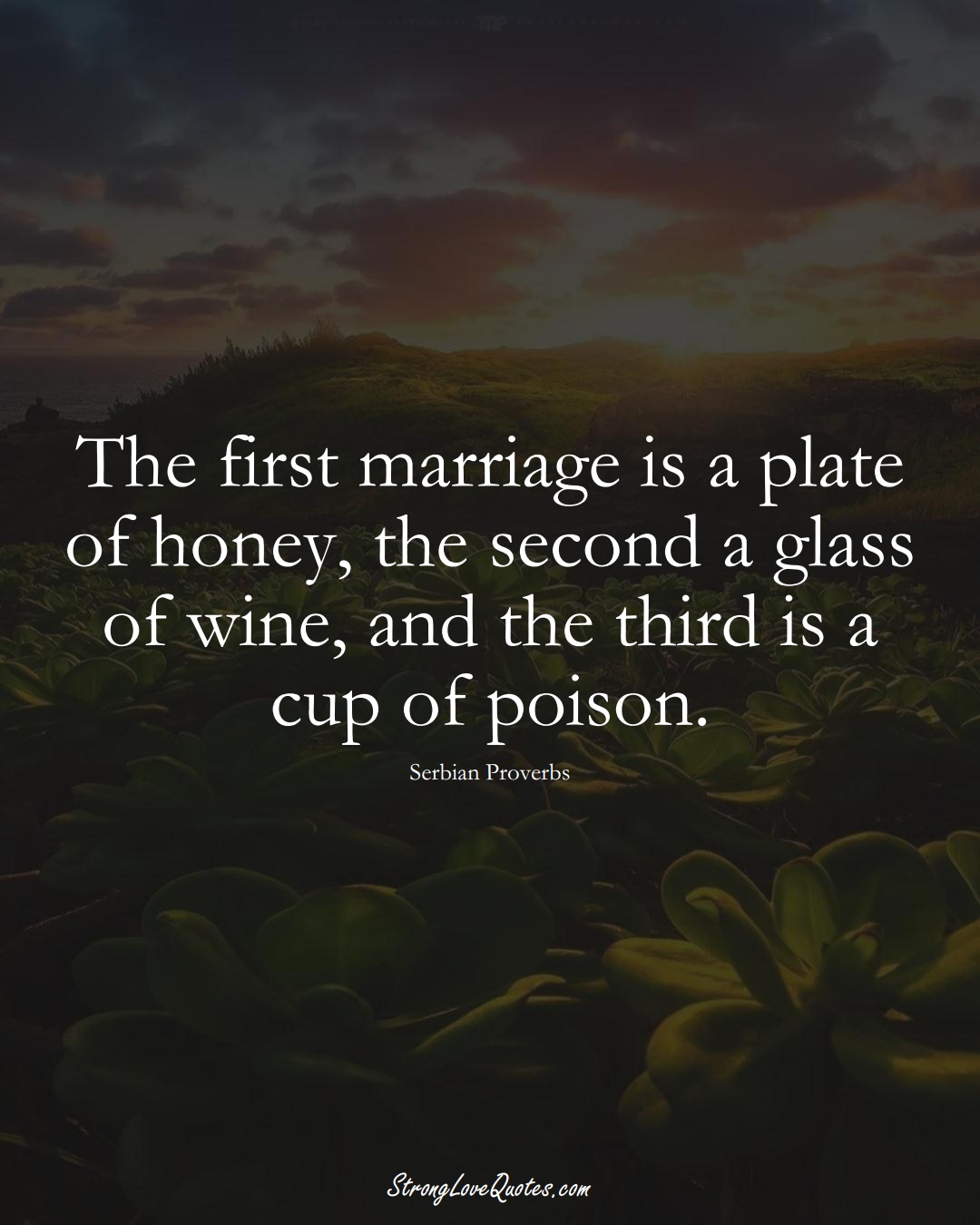 The first marriage is a plate of honey, the second a glass of wine, and the third is a cup of poison. (Serbian Sayings);  #EuropeanSayings