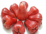 Jambu air