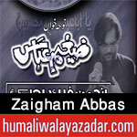 http://www.humaliwalayazadar.com/2016/08/zaigham-abbas-nohay-2010-to-2017.html