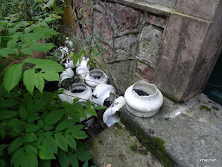 urbex-château-manoir-banana-échec-jpg