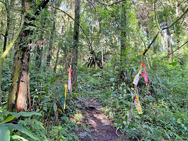 登山口