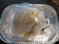 turkey breast in the bag