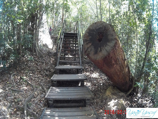 Part 3 , Jungle Trekking , Canopy Walk