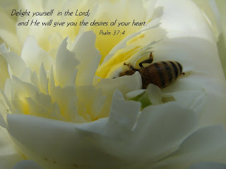 Nature background picture of flower and bee with Psalm 37 4 bible verse