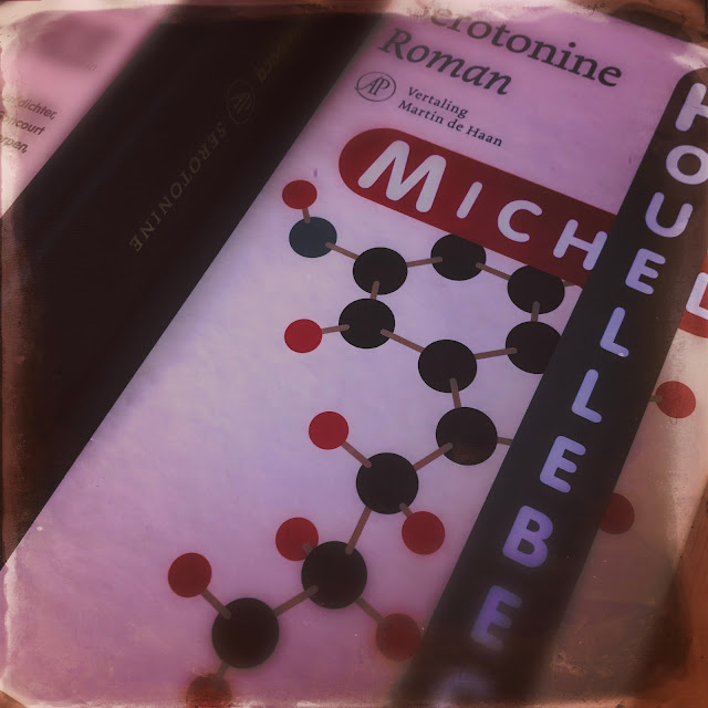 Serotonine, Michel Houellebecq