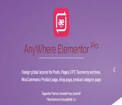 AnyWhere Elementor Pro v2.15.5 - Global Post Layouts