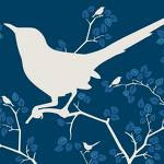 follow me on twitter