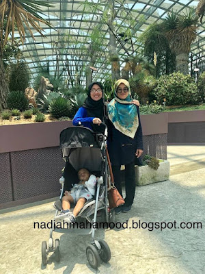 Intiniary Travel Singapore Bersama Anak Kecil