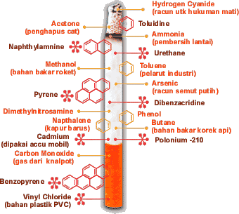 bahaya rokok bagi kesehatan