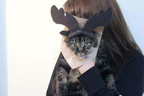 The Incredible Cat-Moose Costume DIY #MichaelsMakers