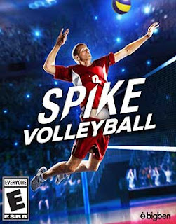 Spike Volleyball