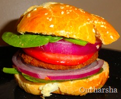 burger bun and patties (1)