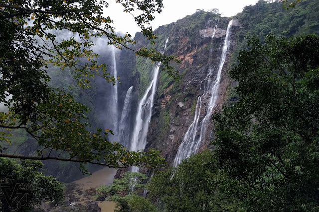 Jog falls as seen from behind the trees
