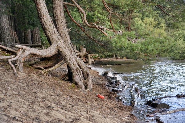 røsholmstranda tyrifjorden