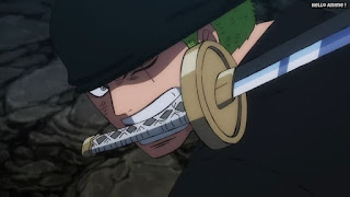 ワンピースアニメ 1016話 ロロノア・ゾロ Roronoa Zoro | ONE PIECE Episode 1016