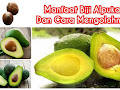 Ternyata!!! Tak Banyak yang Tau, Biji Alpukat Bisa Jadi Obat Kolestrol, Cara Buatnya Begini!
