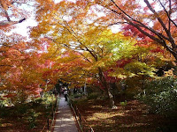 紅葉を愛でる心を養っていきたい