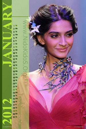 Check out Sonam Kapoor on New Year Calendar 2012 Wallpapers for Laptop 