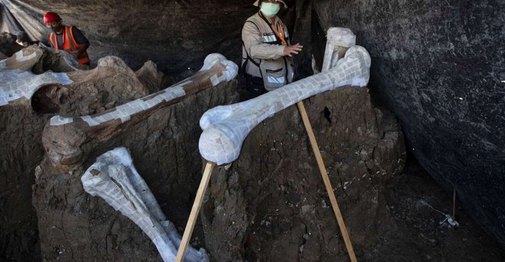 Μεξικό... Βρέθηκαν πάνω από 100 σκελετοί μαμούθ