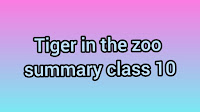 Tiger in the zoo summary 2022 for class 10 ncrt solution