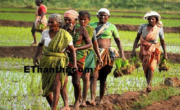  நிரந்தமான வாழ்க்கை