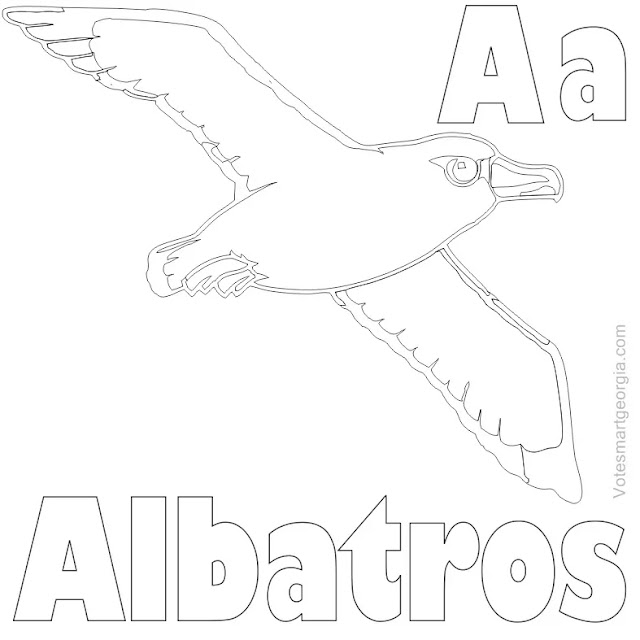 Albatross Coloring Pages Printable Pdf