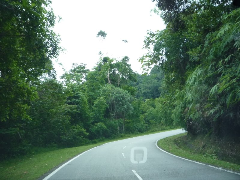 MEMEYmia: Rumah Peranginan Persekutuan Bukit Fraser