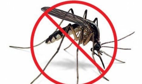 Πως μπορούμε να συμβάλλουμε όλοι στη μείωση των κουνουπιών γύρω μας