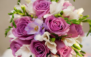 Purple roses