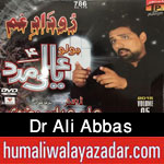 http://www.humaliwalayazadar.com/2015/10/dr-ali-abbas-rizvi-nohay-2016_17.html