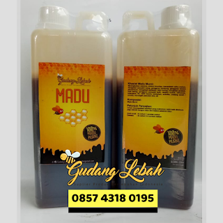 jual madu asli jakarta, jual madu asli jakarta barat, jual madu asli jakarta selatan, jual madu asli jakarta timur, madu asli jakarta, madu asli jakarta timur,