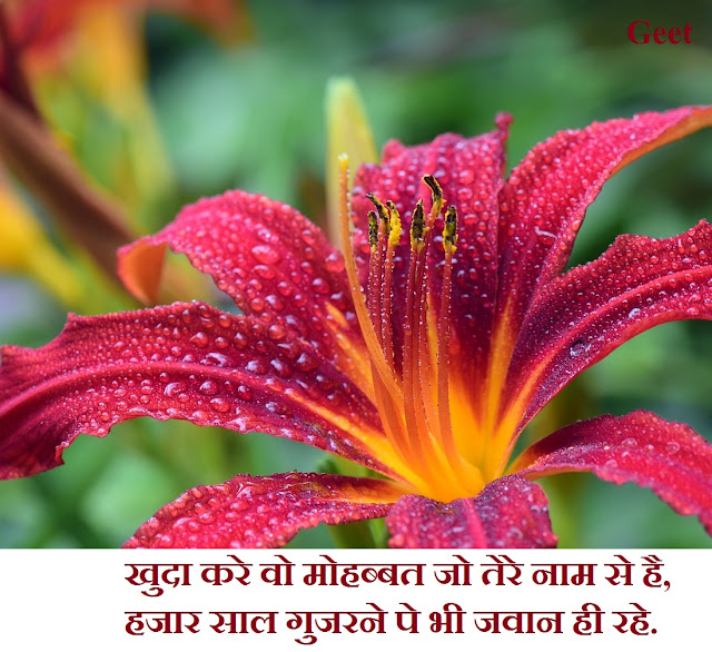 Images Dard Bhari Shayari In Hindi