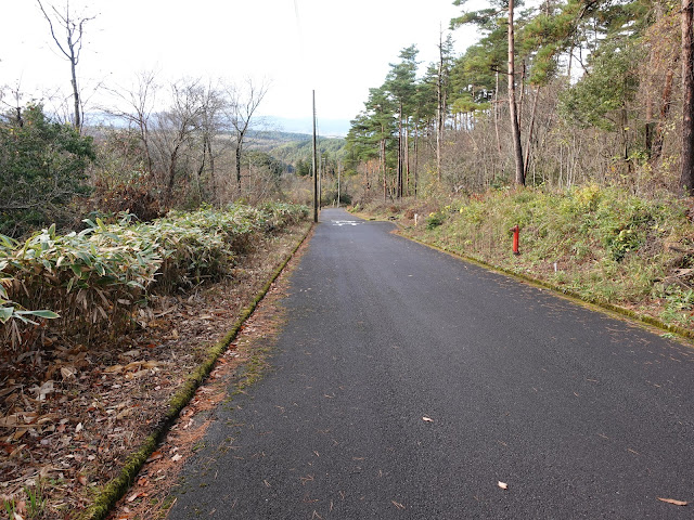 グランソール大山希望ヶ丘 別荘地の道