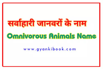 Omnivorous Animals Name In Hindi