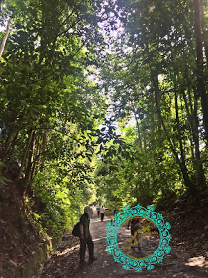 bukit mertajam, hiking, trek denai, trek jalan tar, taman rimba, susah tak trek bukit mertajam, cherok to'kun, cara ke bukit mertajam, cara ke cherok to'kun, apa yang best kat sini, syok ke bukit mertajam, ketinggian bukit mertajam, masa yang diambil untuk ke atas,