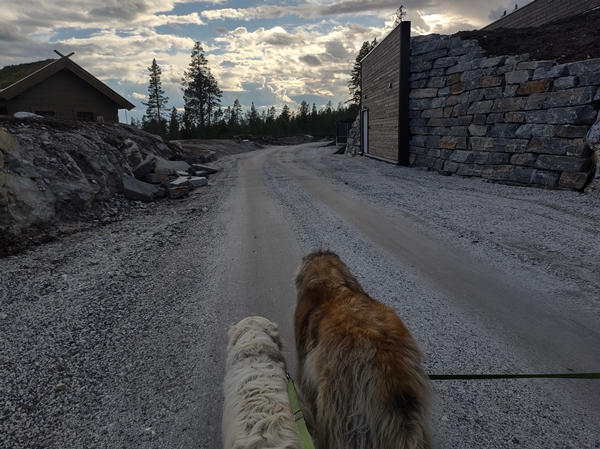 hallingdal flå turufjell stolpejakt