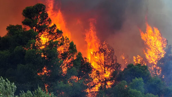 ΙΣΑ: Μέτρα προφύλαξης και οδηγίες για την προστασία των πολιτών από τις πυρκαγιές