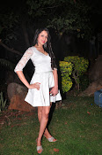 actress kshetra glam pics-thumbnail-14