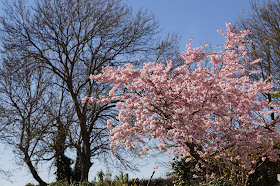 spring photography in the Norfolk countryside
