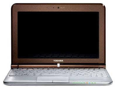 Toshiba NB305-A120