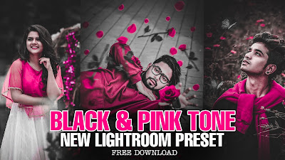 moody pink preset download aqua and pink preset download blue and pink lightroom preset free download black tone preset download green tone preset dow