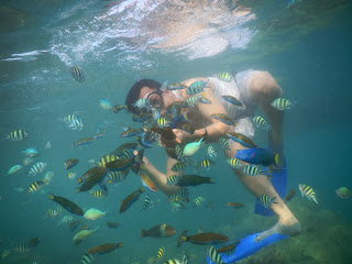 Snorkeling di Pulau Pari