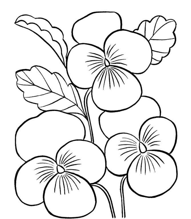  Gambar  Mewarnai  Bunga  Matahari Mawar Tulip  Melati gambarcoloring