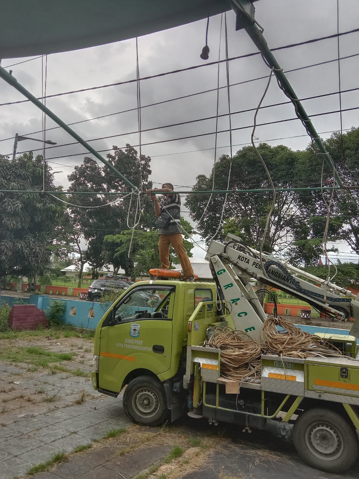 Dinas PRKP Upayakan Perbaikan Pohon Terang di Jalan Gereja, Ini Penjelasannya