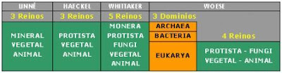 reino dominio bacterias hongos plantas animales cianobacterias arqueobacterias genero especie clase