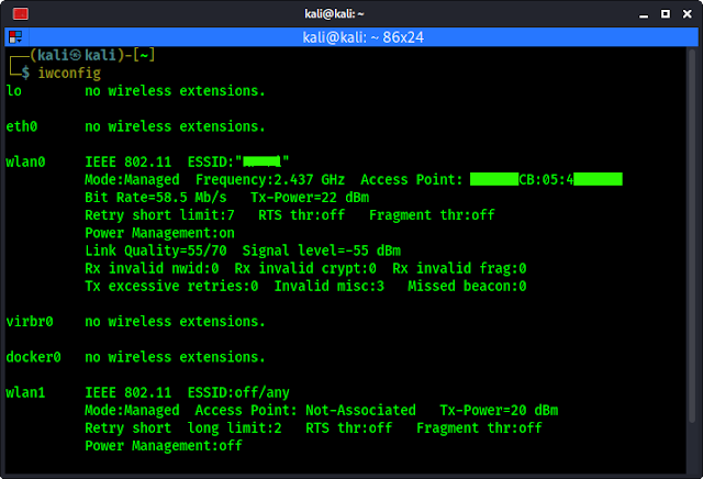 checking network interfaces on kali linux