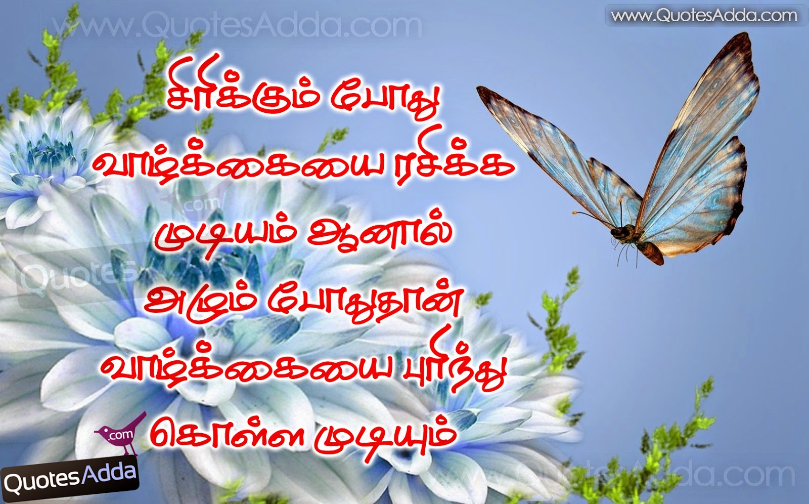 Tamil Quotes About Beauty QuotesGram