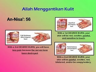 AsmadieAnuar: KULIT - SURAH AN-NISA' : AYAT 56