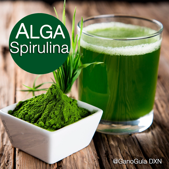 ¿Qué es la Alga Espirulina?