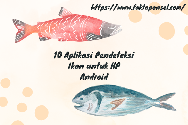 10 Aplikasi Pendeteksi Ikan untuk HP Android